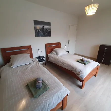 Mazzimmo Antwerp